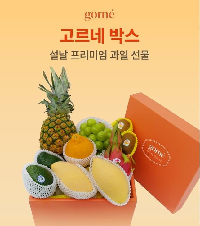 고르네 박스 1호